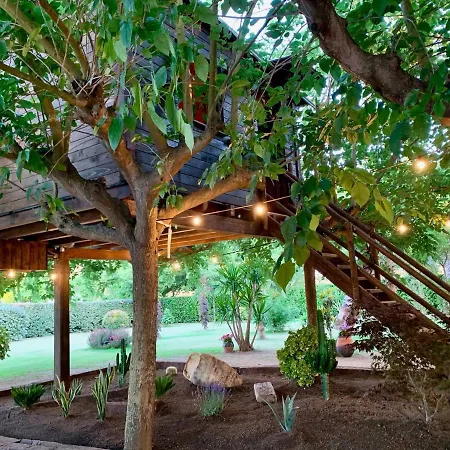 Naturetreehouse Casa Sobre Arboles Casa di campagna *