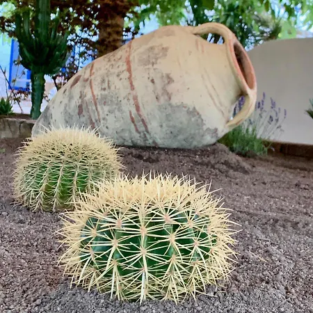 Naturetreehouse Casa Sobre Arboles * Blanes