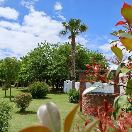 Naturetreehouse Casa Sobre Arboles * Blanes
