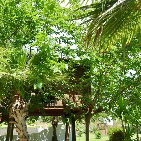 Naturetreehouse Casa Sobre Arboles Casa di campagna