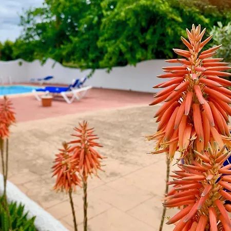 Naturetreehouse Casa Sobre Arboles Casa di campagna Blanes