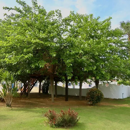 Naturetreehouse Casa Sobre Los Arboles *