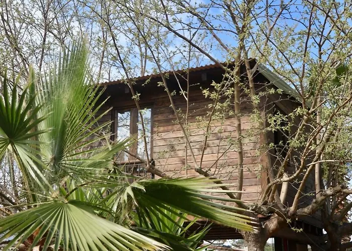Naturetreehouse Casa Sobre Arboles Blanes