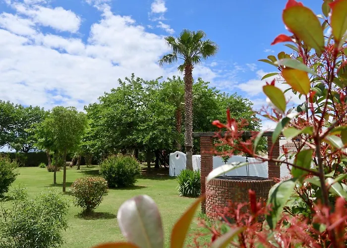Naturetreehouse Casa Sobre Arboles * Blanes