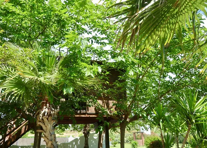 Naturetreehouse Casa Sobre Arboles Εξοχικό σπίτι
