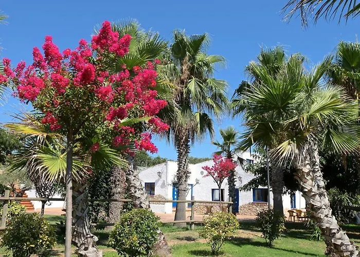 Naturetreehouse Casa Sobre Arboles Blanes