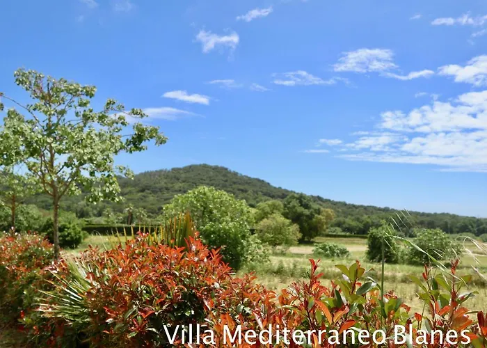 Εξοχικό σπίτι Naturetreehouse Casa Sobre Arboles Blanes