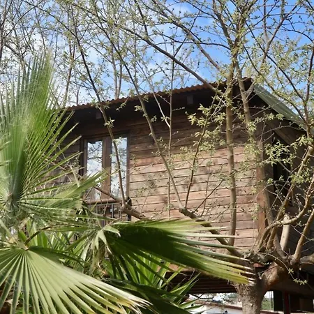 Naturetreehouse Casa Sobre Arboles 블랑스